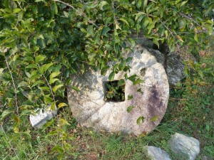 mill stone